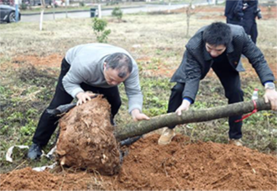 圖片1.png 圖片1.png