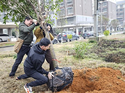 圖片4.png 圖片4.png