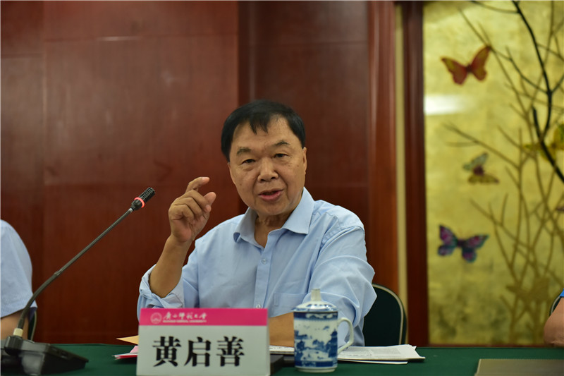 廣西壯族自治區博物館原館長(cháng)、研究館員黃啟善發(fā)言（郭倩 攝）.JPG