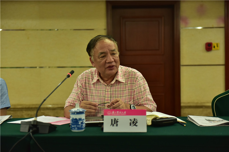 廣西歷史學(xué)會(huì )會(huì )長(cháng)、廣西師范大學(xué)歷史文化與旅游學(xué)院教授唐凌發(fā)言（郭倩 攝）.JPG